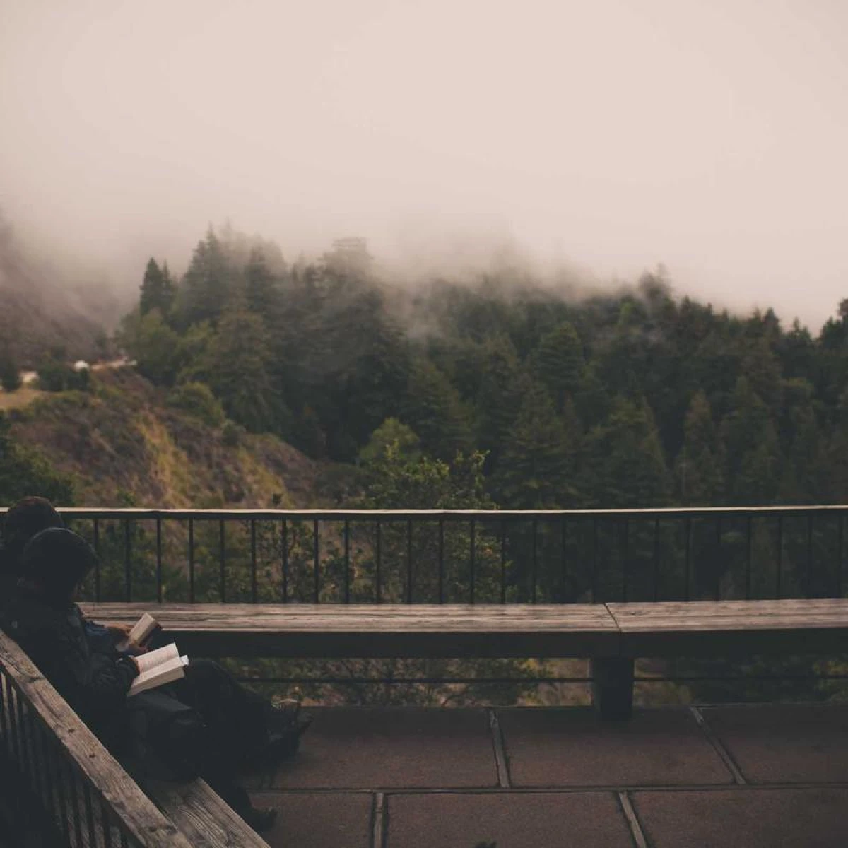 Ключодържател Tesla