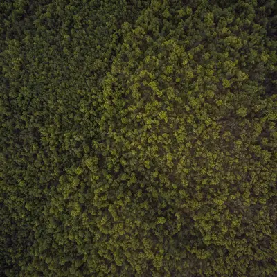 Ключодържател KIA