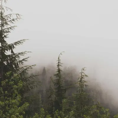 Ключодържател Citroën