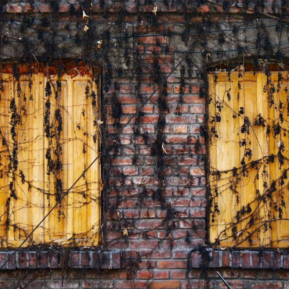 Ключодържател Suzuki