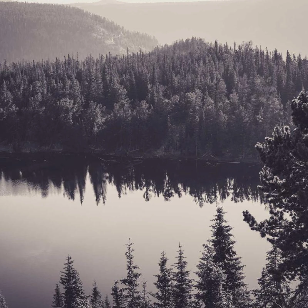 Светлина с форма на любов – Glow Heart