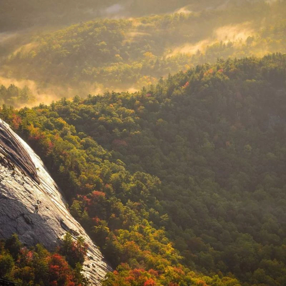 Love Clickers – комплект от 4 броя